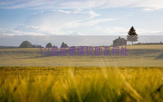 12星座感情软肋在何处(图1) 12星座感情软肋在何处(图1)