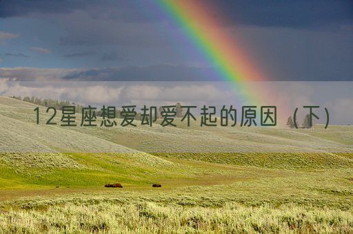 12星座想爱却爱不起的原因(下)(图1) 12星座想爱却爱不起的原因(下)(图1)