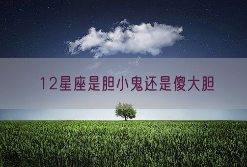 12星座是胆小鬼还是傻大胆(图1)