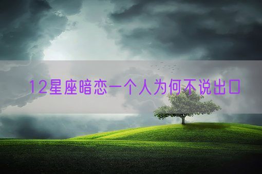 12星座暗恋一个人为何不说出口(图1)