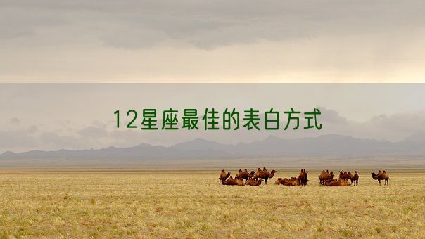 12星座最佳的表白方式(图1)