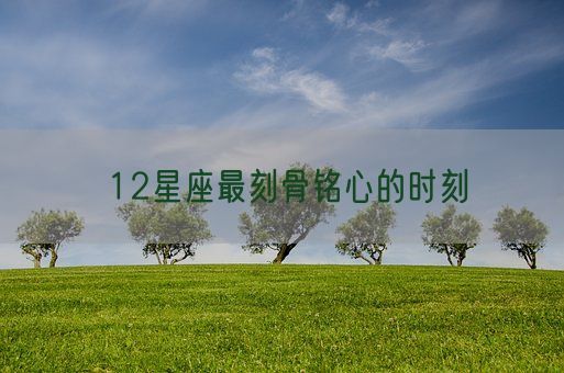12星座最刻骨铭心的时刻(图1)
