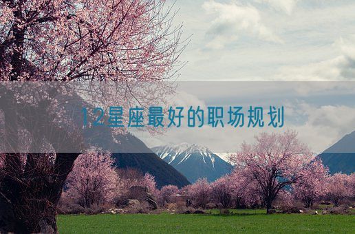 12星座最好的职场规划(图1)