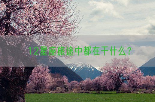 12星座旅途中都在干什么？(图1)