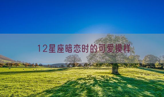 12星座暗恋时的可爱摸样(图1)