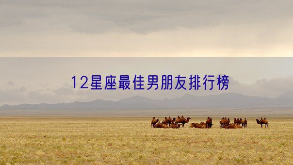 12星座最佳男朋友排行榜(图1) 12星座最佳男朋友排行榜(图1)