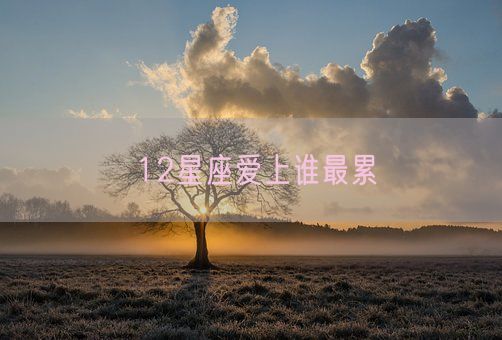 12星座爱上谁最累(图1)