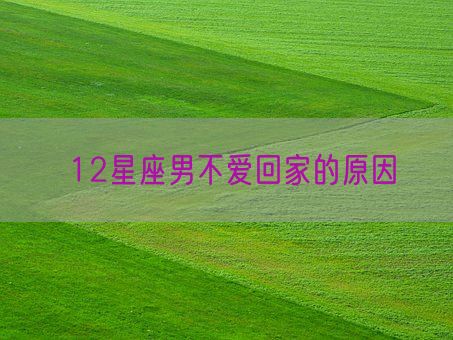 12星座男不爱回家的原因(图1)