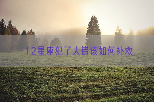 12星座犯了大错该如何补救(图1)