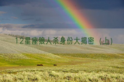 12星座狼人杀身份大揭密(上)(图1) 12星座狼人杀身份大揭密(上)(图1)