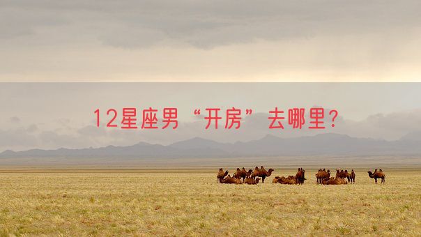 12星座男“开房”去哪里？(图1)