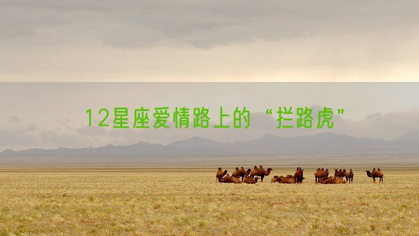 12星座爱情路上的“拦路虎”(图1)