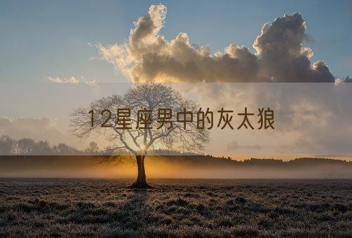 12星座男中的灰太狼(图1)