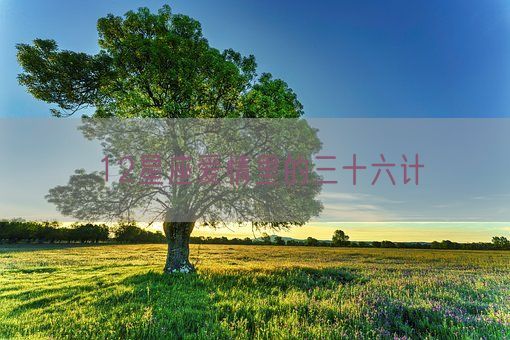 12星座爱情里的三十六计(图1)