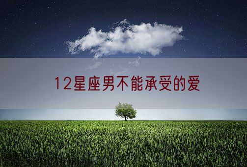 12星座男不能承受的爱(图1)
