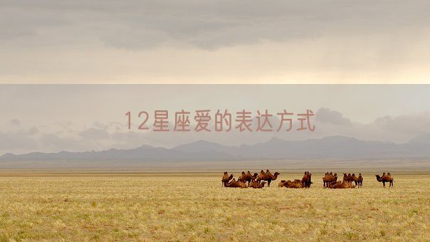 12星座爱的表达方式(图1)