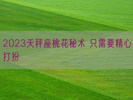 2023天秤座桃花秘术 只需要精心打扮(图1)