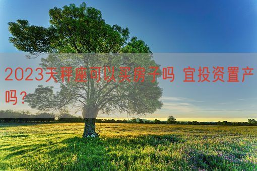 2023天秤座可以买房子吗 宜投资置产吗？(图1)