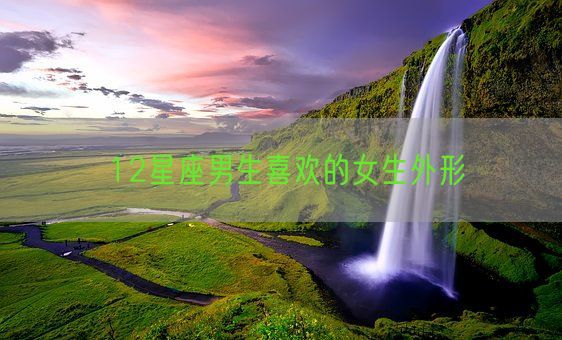 12星座男生喜欢的女生外形(图1) 12星座男生喜欢的女生外形(图1)