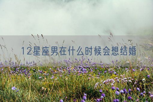 12星座男在什么时候会想结婚(图1) 12星座男在什么时候会想结婚(图1)
