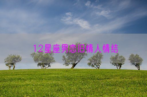 12星座男恋旧情人情结(图1) 12星座男恋旧情人情结(图1)