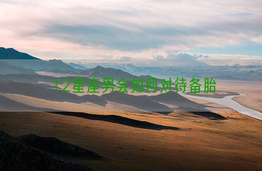 12星座男会如何对待备胎(图1) 12星座男会如何对待备胎(图1)