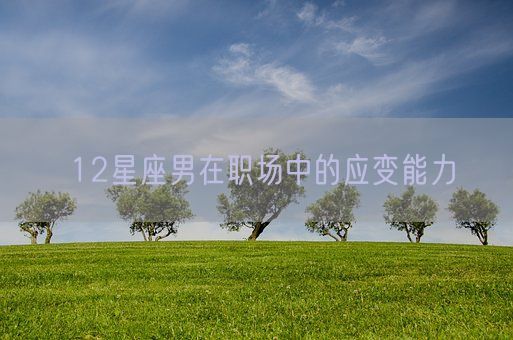 12星座男在职场中的应变能力(图1) 12星座男在职场中的应变能力(图1)