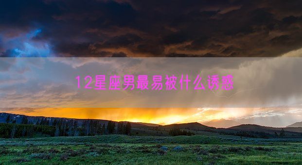 12星座男最易被什么诱惑(图1) 12星座男最易被什么诱惑(图1)