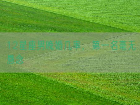 12星座男晚婚几率,第一名毫无悬念(图1) 12星座男晚婚几率,第一名毫无悬念(图1)