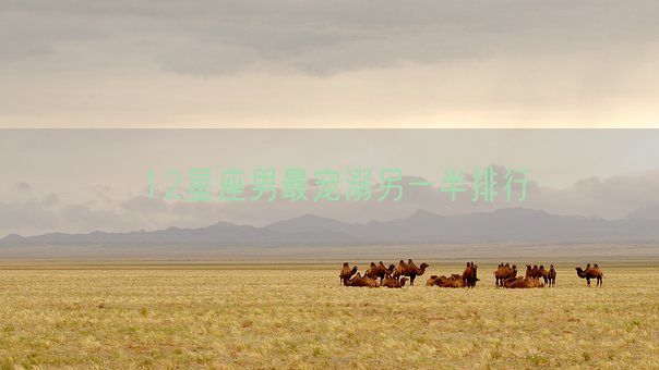 12星座男最宠溺另一半排行(图1) 12星座男最宠溺另一半排行(图1)