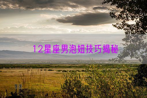 12星座男泡妞技巧揭秘(图1) 12星座男泡妞技巧揭秘(图1)