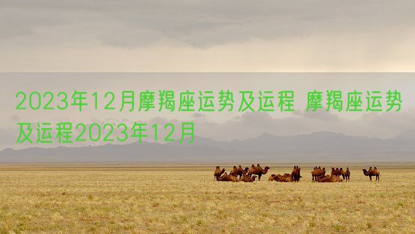 2023年12月摩羯座运势及运程 摩羯座运势及运程2023年12月(图1)