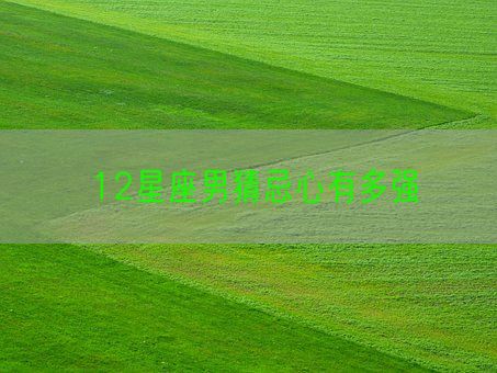 12星座男猜忌心有多强(图1) 12星座男猜忌心有多强(图1)