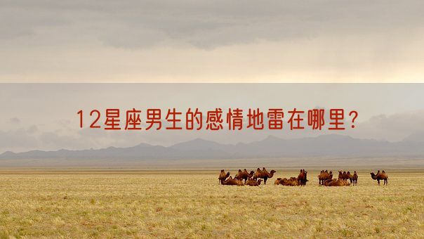 12星座男生的感情地雷在哪里？(图1)