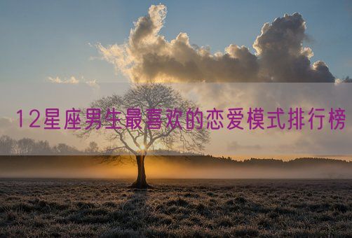 12星座男生最喜欢的恋爱模式排行榜(图1)