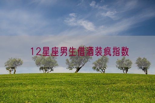 12星座男生借酒装疯指数(图1)