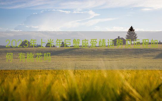 2023年上半年巨蟹座爱情运势及运程如何 有桃花吗(图1) 2023年上半年巨蟹座爱情运势及运程如何 有桃花吗(图1)