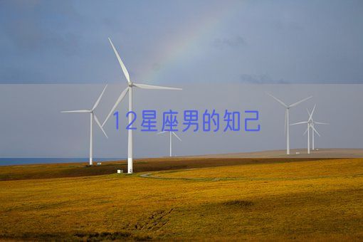 12星座男的知己(图1) 12星座男的知己(图1)