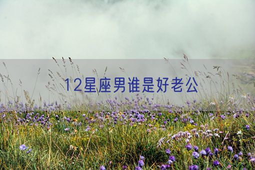 12星座男谁是好老公(图1) 12星座男谁是好老公(图1)