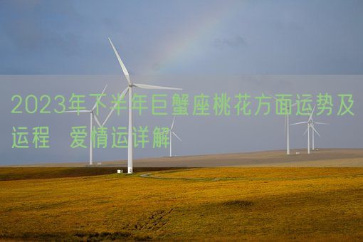 2023年下半年巨蟹座桃花方面运势及运程  爱情运详解(图1) 2023年下半年巨蟹座桃花方面运势及运程  爱情运详解(图1)