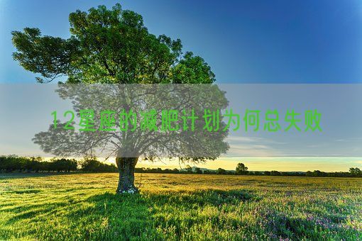 12星座的减肥计划为何总失败(图1)