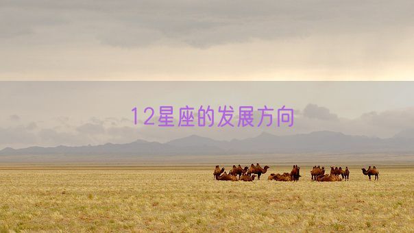 12星座的发展方向(图1) 12星座的发展方向(图1)