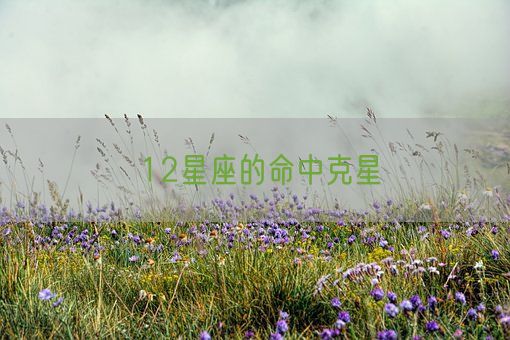 12星座的命中克星(图1) 12星座的命中克星(图1)