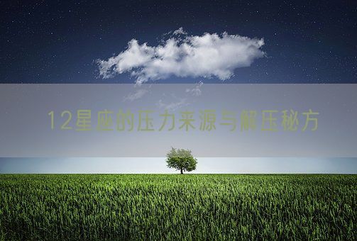12星座的压力来源与解压秘方(图1) 12星座的压力来源与解压秘方(图1)