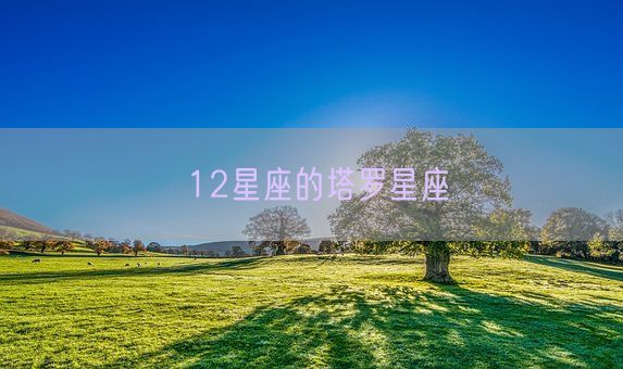 12星座的塔罗星座(图1) 12星座的塔罗星座(图1)
