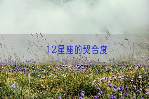 12星座的契合度(图1) 12星座的契合度(图1)