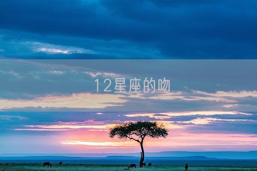 12星座的吻(图1) 12星座的吻(图1)