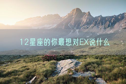 12星座的你最想对EX说什么(图1) 12星座的你最想对EX说什么(图1)
