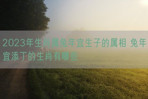 2023年生肖属兔年宜生子的属相 兔年宜添丁的生肖有哪些(图1) 2023年生肖属兔年宜生子的属相 兔年宜添丁的生肖有哪些(图1)