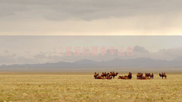 12星座的夏季幸运色(图1) 12星座的夏季幸运色(图1)